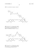 AXL ANTIBODY-DRUG CONJUGATE AND ITS USE FOR THE TREATMENT OF CANCER diagram and image