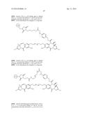 AXL ANTIBODY-DRUG CONJUGATE AND ITS USE FOR THE TREATMENT OF CANCER diagram and image