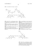 AXL ANTIBODY-DRUG CONJUGATE AND ITS USE FOR THE TREATMENT OF CANCER diagram and image