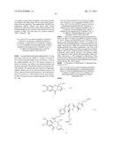 AXL ANTIBODY-DRUG CONJUGATE AND ITS USE FOR THE TREATMENT OF CANCER diagram and image