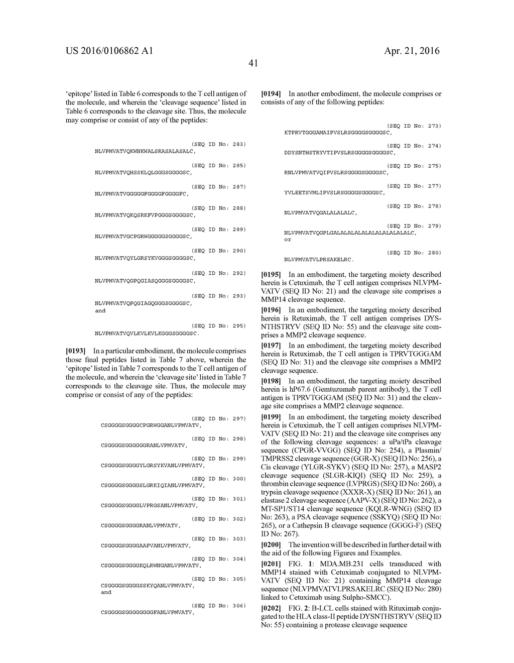 Re-Directed Immunotherapy - diagram, schematic, and image 64