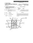 SUBMERGED COMBUSTION BURNERS, SUBMERGED COMBUSTION GLASS MELTERS INCLUDING     THE BURNERS, AND METHODS OF USE diagram and image