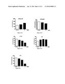 SULPHATE SALTS OF     N-(3-(4-(3-(DIISOBUTYLAMINO)PROPYL)PIPERAZIN-1-YL)PROPYL)-1H-BENZO[d]IMID-    AZOL-2-AMINE, PREPARATION THEREOF AND USE OF THE SAME diagram and image