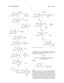 Lactam Kinase Inhibitors diagram and image