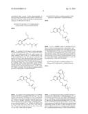 Lactam Kinase Inhibitors diagram and image