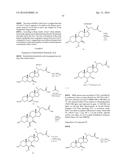 Preparation and Uses of Obeticholic Acid diagram and image