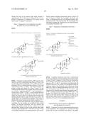 Preparation and Uses of Obeticholic Acid diagram and image