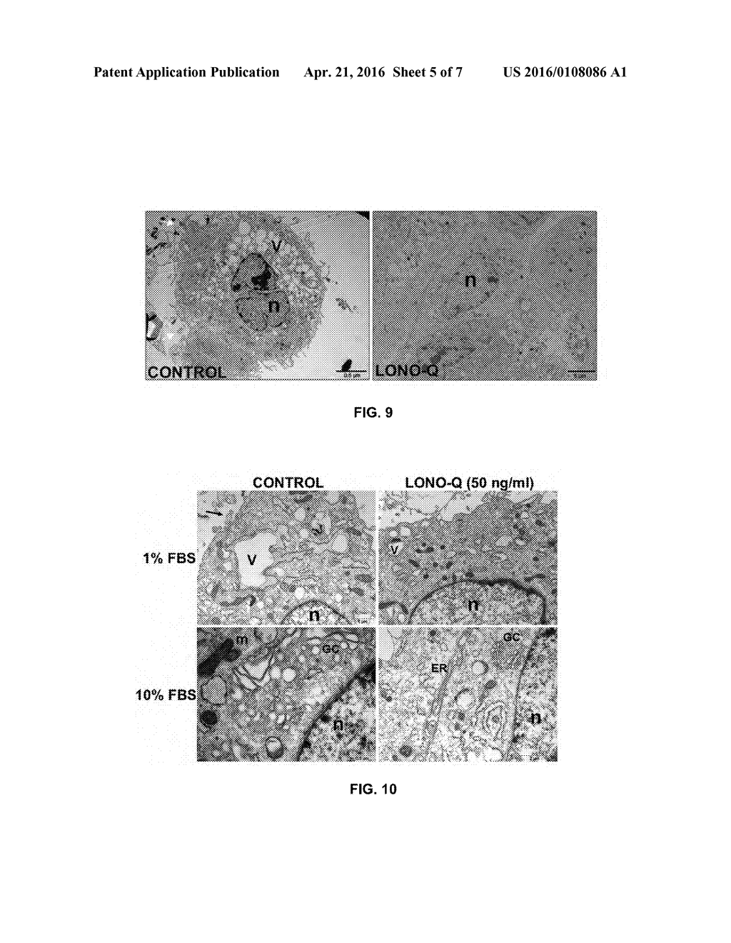 PEPTIDE STIMULATOR OF CELL SURVIVAL AND PROLIFERATION - diagram, schematic, and image 06