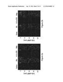 THERAPEUTICS FOR THE INDUCTION OF ENDOGENOUS STEROIDOGENESIS AND METHODS     ASSOCIATED WITH THEIR IDENTIFICATION diagram and image