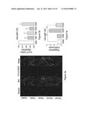 THERAPEUTICS FOR THE INDUCTION OF ENDOGENOUS STEROIDOGENESIS AND METHODS     ASSOCIATED WITH THEIR IDENTIFICATION diagram and image