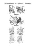 THERAPEUTICS FOR THE INDUCTION OF ENDOGENOUS STEROIDOGENESIS AND METHODS     ASSOCIATED WITH THEIR IDENTIFICATION diagram and image