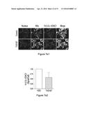 THERAPEUTICS FOR THE INDUCTION OF ENDOGENOUS STEROIDOGENESIS AND METHODS     ASSOCIATED WITH THEIR IDENTIFICATION diagram and image