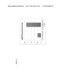 FUSION PROTEINS, RECOMBINANT BACTERIA, AND METHODS FOR USING RECOMBINANT     BACTERIA diagram and image