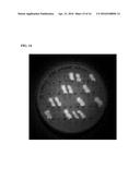 FUSION PROTEINS, RECOMBINANT BACTERIA, AND METHODS FOR USING RECOMBINANT     BACTERIA diagram and image