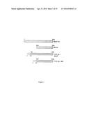 RECOMBINANT CANCER THERAPEUTIC CYTOKINE diagram and image