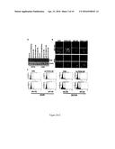 RECOMBINANT CANCER THERAPEUTIC CYTOKINE diagram and image