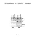 RECOMBINANT CANCER THERAPEUTIC CYTOKINE diagram and image