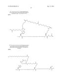 Novel GLP-1 Derivatives diagram and image