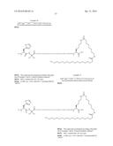 Novel GLP-1 Derivatives diagram and image