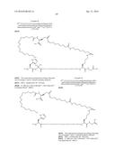 Novel GLP-1 Derivatives diagram and image