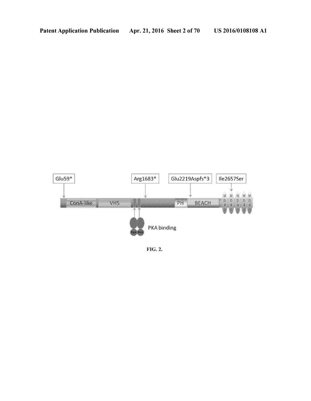 INFLAMMATORY DISEASE DIAGNOSIS AND METHODS OF TREATMENT USING     LIPOPOLYSACCHARIDES-RESPONSIVE BEIGE-LIKE ANCHOR - diagram, schematic, and image 03