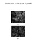 INFLAMMATORY DISEASE DIAGNOSIS AND METHODS OF TREATMENT USING     LIPOPOLYSACCHARIDES-RESPONSIVE BEIGE-LIKE ANCHOR diagram and image