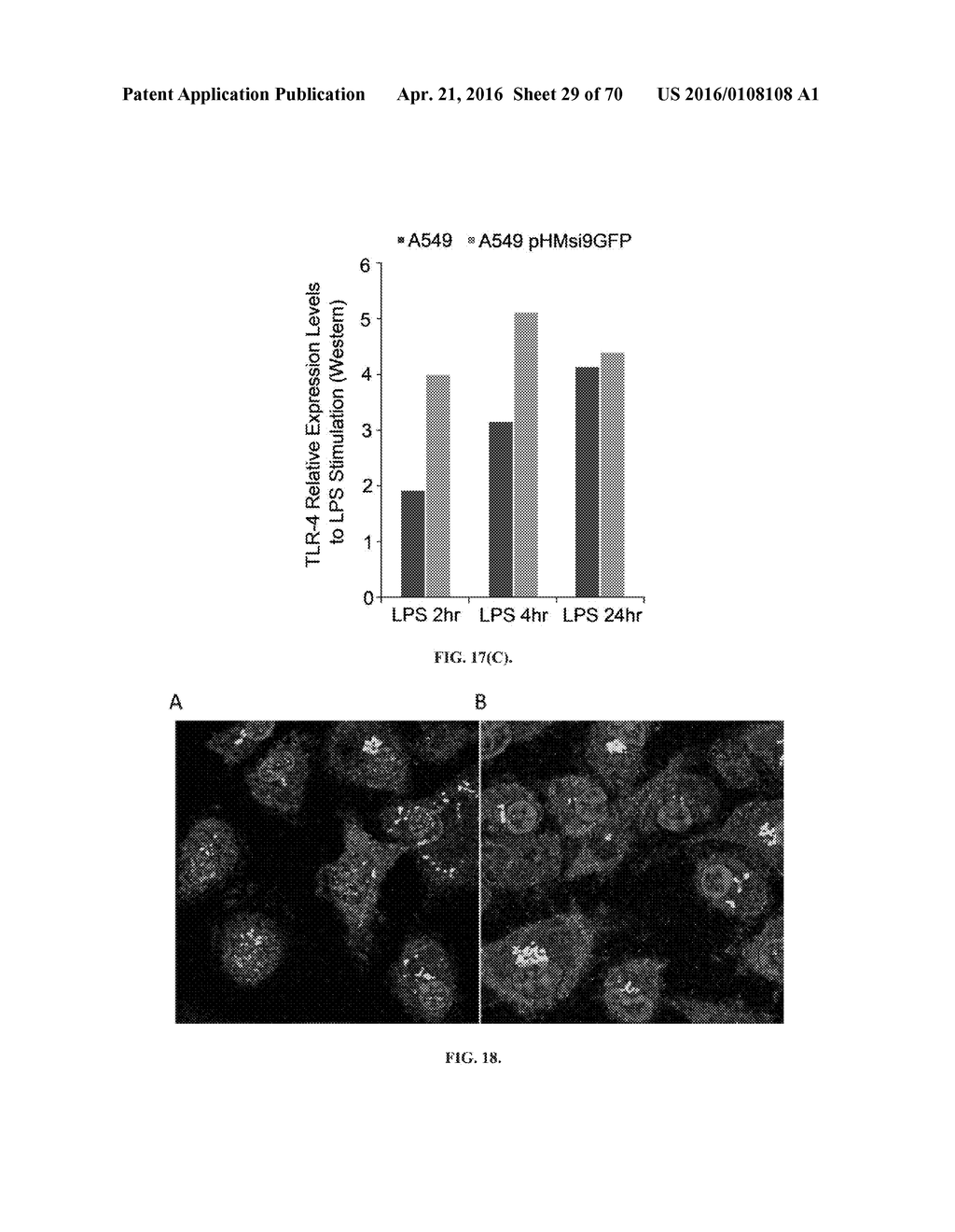 INFLAMMATORY DISEASE DIAGNOSIS AND METHODS OF TREATMENT USING     LIPOPOLYSACCHARIDES-RESPONSIVE BEIGE-LIKE ANCHOR - diagram, schematic, and image 30