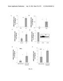 INFLAMMATORY DISEASE DIAGNOSIS AND METHODS OF TREATMENT USING     LIPOPOLYSACCHARIDES-RESPONSIVE BEIGE-LIKE ANCHOR diagram and image