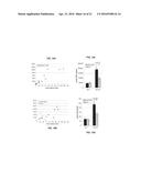 VEGF-SPECIFIC ANTAGONISTS FOR ADJUVANT AND NEOADJUVANT THERAPY AND THE     TREATMENT OF EARLY STAGE TUMORS diagram and image