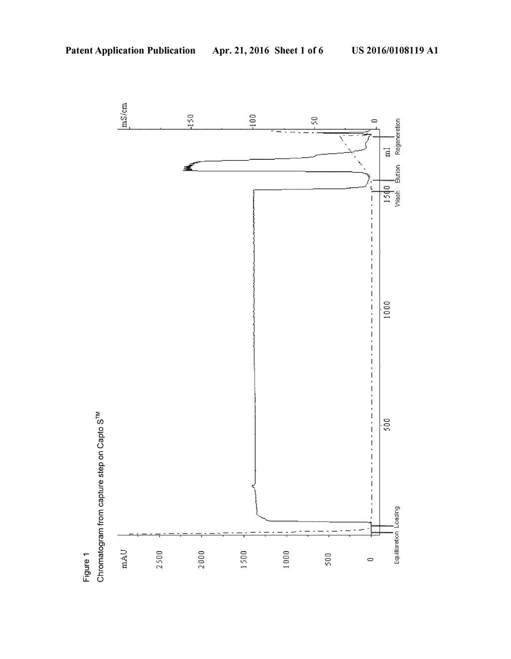 PROTEIN PURIFICATION - diagram, schematic, and image 02