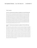 PROTEIN PURIFICATION diagram and image