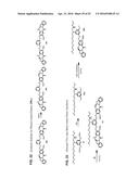 CYTOTOXIC BENZODIAZEPINE DERIVATIVES diagram and image