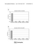 ANTI-CEACAM5 ANTIBODIES AND USES THEREOF diagram and image