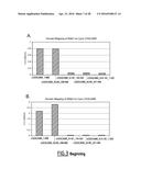 ANTI-CEACAM5 ANTIBODIES AND USES THEREOF diagram and image