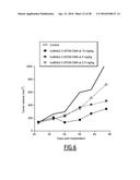 ANTI-CEACAM5 ANTIBODIES AND USES THEREOF diagram and image