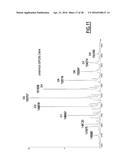 ANTI-CEACAM5 ANTIBODIES AND USES THEREOF diagram and image