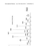 ANTI-CEACAM5 ANTIBODIES AND USES THEREOF diagram and image