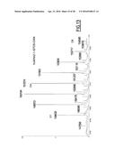 ANTI-CEACAM5 ANTIBODIES AND USES THEREOF diagram and image