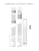 ANTI-CEACAM5 ANTIBODIES AND USES THEREOF diagram and image