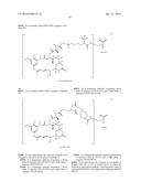 ANTI-CEACAM5 ANTIBODIES AND USES THEREOF diagram and image