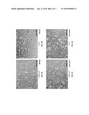 METHODS AND COMPOSITIONS FOR GENERATING OR MAINTAINING PLURIPOTENT CELLS diagram and image