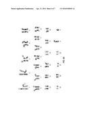 METHODS AND COMPOSITIONS FOR GENERATING OR MAINTAINING PLURIPOTENT CELLS diagram and image