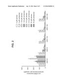 OLIGOMERS TARGETING HEXANUCLEOTIDE REPEAT EXPANSION IN HUMAN C9ORF72 GENE diagram and image