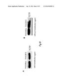 Hydrophobically Modified Antisense Oligonucleotides Comprising a Ketal     Group diagram and image