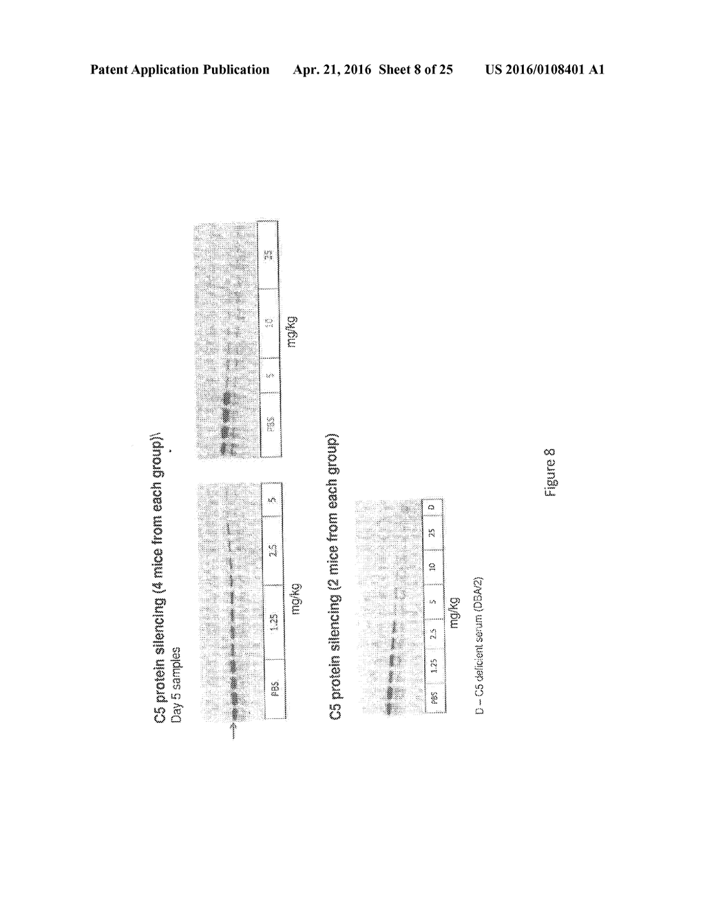 COMPLEMENT COMPONENT C5 iRNA COMPOSITIONS AND METHODS OF USE THEREOF - diagram, schematic, and image 09