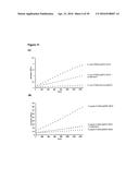 IMPROVED SURFACE DISPLAY OF FUNCTIONAL PROTEINS IN A BROAD RANGE OF GRAM     NEGATIVE BACTERIA diagram and image