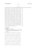 IMPROVED SURFACE DISPLAY OF FUNCTIONAL PROTEINS IN A BROAD RANGE OF GRAM     NEGATIVE BACTERIA diagram and image