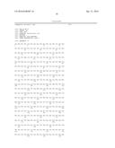 IMPROVED SURFACE DISPLAY OF FUNCTIONAL PROTEINS IN A BROAD RANGE OF GRAM     NEGATIVE BACTERIA diagram and image