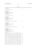 IMPROVED SURFACE DISPLAY OF FUNCTIONAL PROTEINS IN A BROAD RANGE OF GRAM     NEGATIVE BACTERIA diagram and image