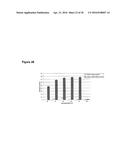 IMPROVED SURFACE DISPLAY OF FUNCTIONAL PROTEINS IN A BROAD RANGE OF GRAM     NEGATIVE BACTERIA diagram and image